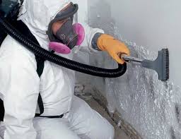 Best Comprehensive Air Testing for Mold Contaminants  in Brookfield, IL